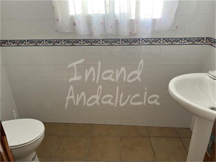 Farm, Ranch or Equestrian in Carcabuey - Image 4