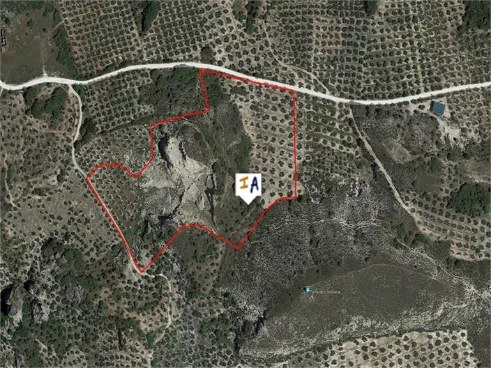 Building plot