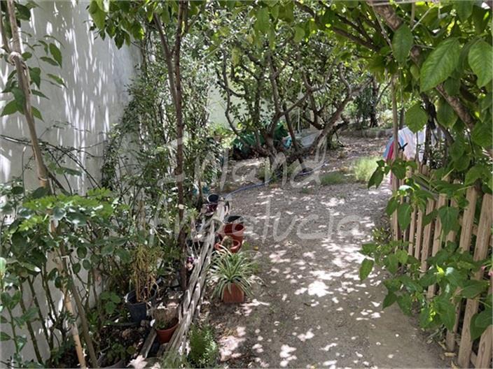 Land in Tozar - view 1