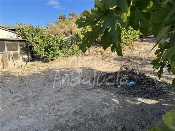 House in La Rabita - Image 2