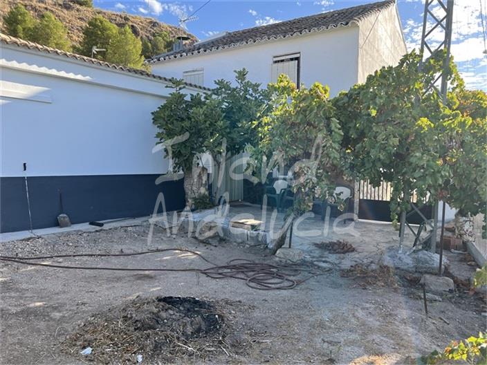 House in La Rabita - Image 4