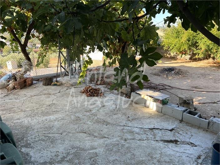 House in La Rabita - Image 5