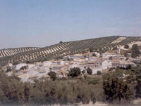 Landscape Rute Cordoba Andalucia