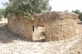 Casariche Ruins Sevilla Andalucia Casariche Ruins Sevilla Andalucia