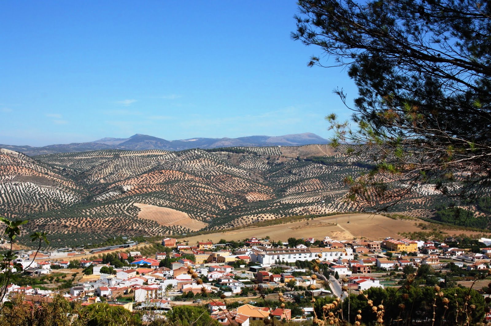 Cuevas de San Marcos Malaga Andalucia Views