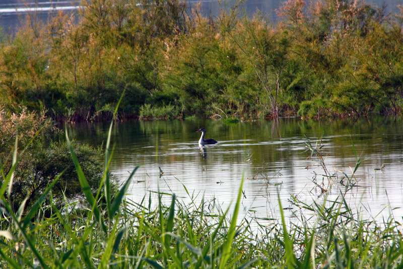 Lake in Luque Cordoba Andalucia