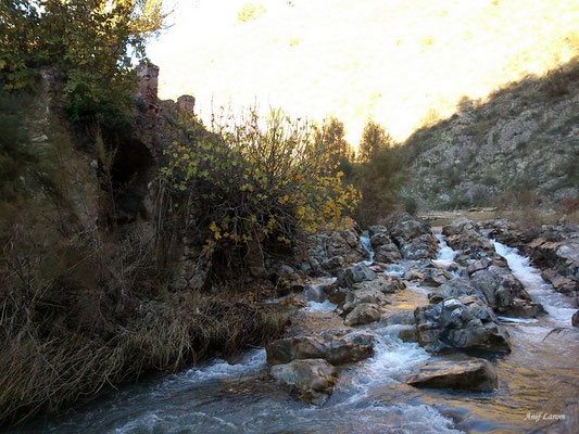 Sabariego Landscape Jaen Andalucia