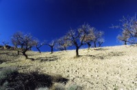 Aguadulce Andalucia nature Sevilla