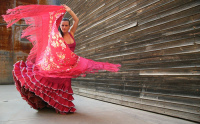 La Luisiana Andalucia flamenco Sevilla