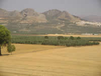 Sierra de Yeguas nature Malaga Andalucia