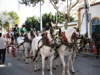 Villanueva de Algaidas Andalucia fair Malaga